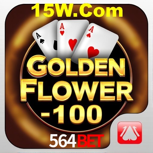 Apostas Esportivas na 564Bet: Um Guia Completo